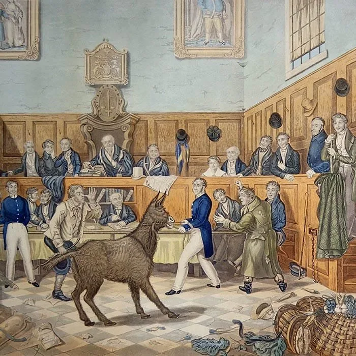 Animals in Court: Animal Trials and Executions in History — 3. görsel