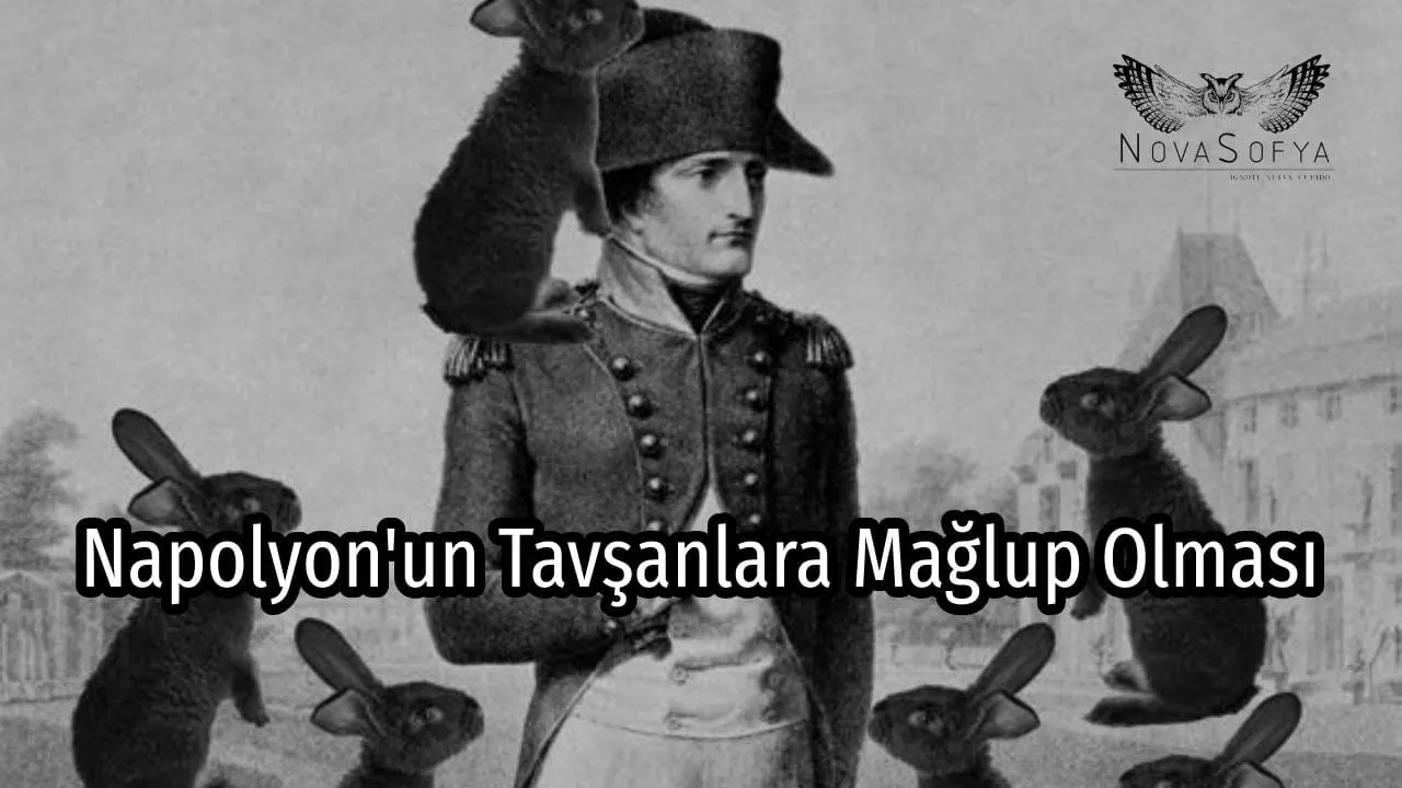 Napolyon'un Tavşanlara Mağlup Olması