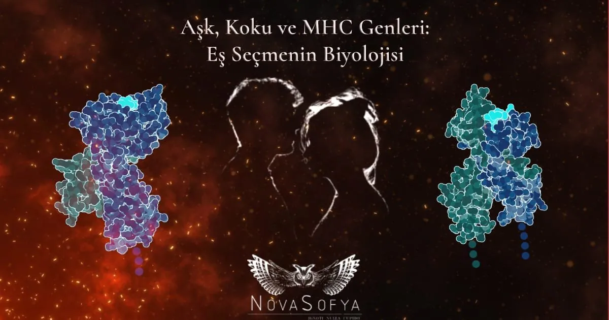 Aşk, Koku ve MHC Genleri: Eş Seçmenin Biyolojisi
