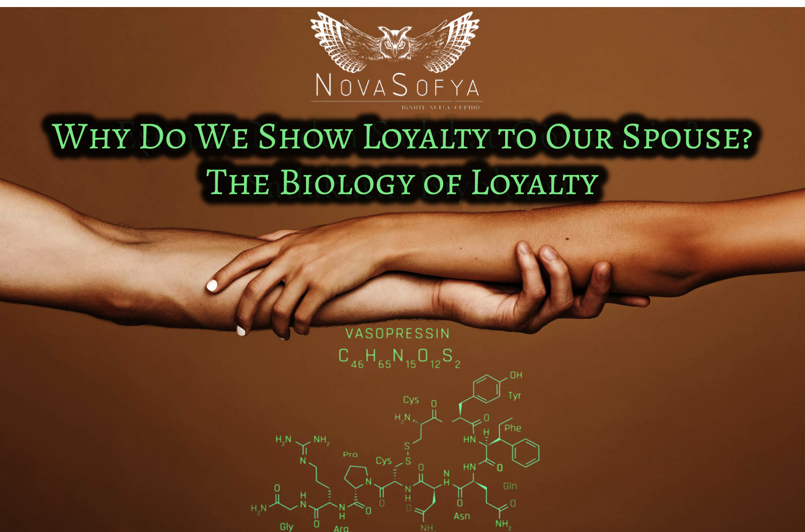 Why Do We Show Loyalty to Our Spouse? The Biology of Loyalty - NovaSofya