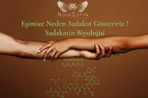 dasdasdasdasd-1024x677