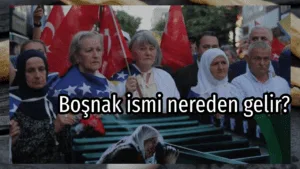 template (25)